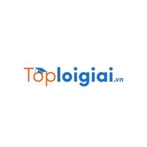 Toploigiai.vn