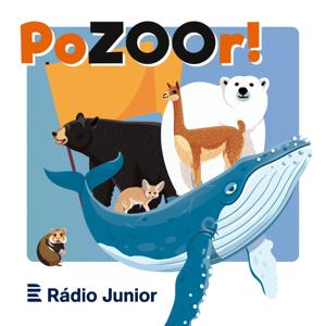 PoZOOR!
