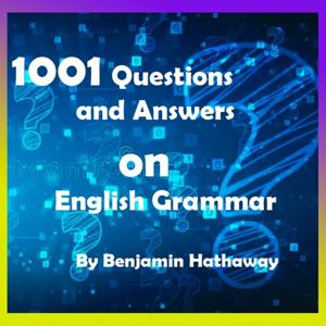 1001 Questions and Answers on English Grammar - Free Audiobook