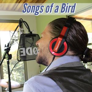 Songs of a Bird