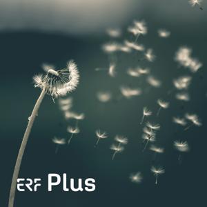 ERF Plus - Über das Loslassen