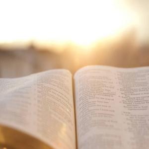 The Story of Scripture