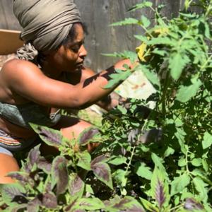 What’s the tea? Conversations by the birth pool.