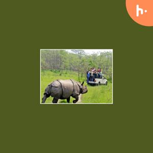 Unforgettable Wildlife Safaris in Malaysia: A Journey into Nature's Wonders