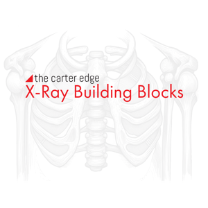 X-Ray Building Blocks by The Carter Edge