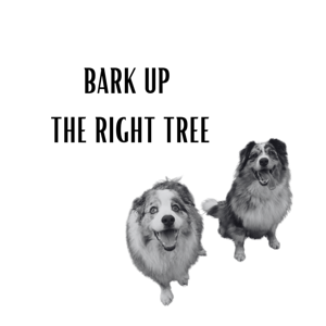 Bark Up The Right Tree with Dr Tristram Finn