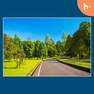 Explore the Beauty of Bali Botanic Garden: A Sanctuary of Nature