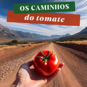 Os Caminhos do Tomate