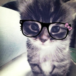 𝜗𝜚˚⋆ I'm a bitch