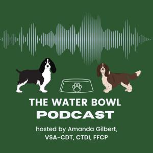 The Water Bowl Podcast
