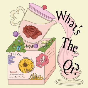 What's The Qi