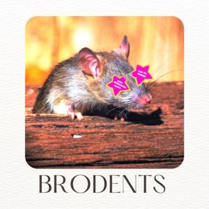 Brodents