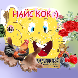 НАЙС КОК