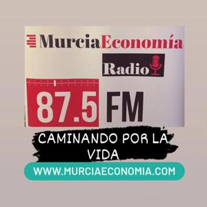 Caminando por la Vida