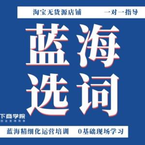 2024年淘宝蓝海无货源课