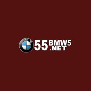 55BMW5.NET