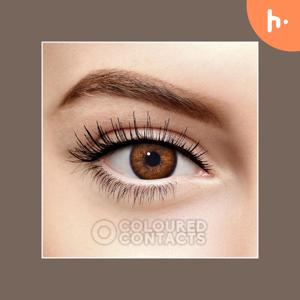 Fx Contacts