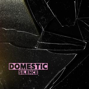 Domestic Silence