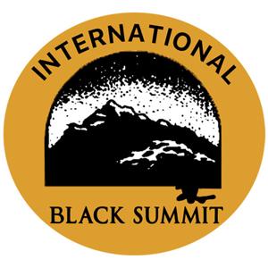 International Black Summit Interview Series