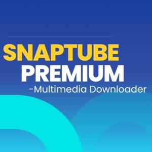 Reviews on Multimedia Downloading Softwares