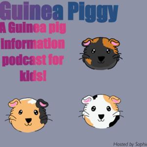 Guinea Piggy