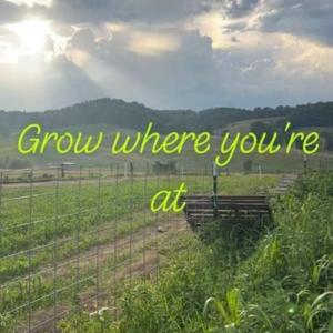 Grow Where You’re At