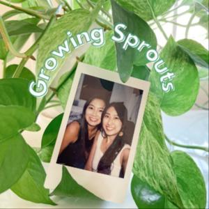 Growing Sprouts
