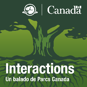 Interactions
