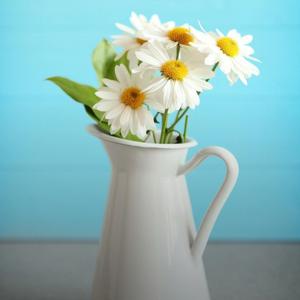 伊人耳朵SPA/一分钟耳朵SPA