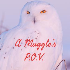 A Muggle’s P.O.V.