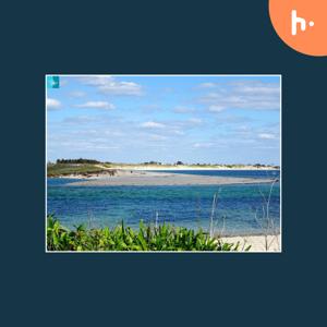 Discover the Tranquility of Bharatpur Beach: A Hidden Gem in Andaman