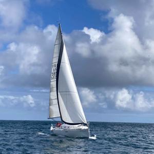 Éclosion d'histoires