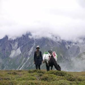 Himalaya Discovery