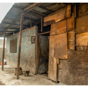 Biafran War