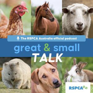 RSPCA Australia's Great & Small Talk