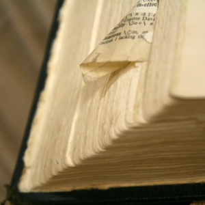Overlooked Books of the Bible