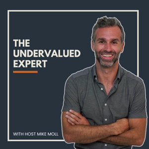 The Undervalued Expert