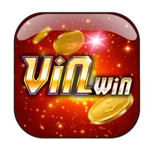 vin-win.net