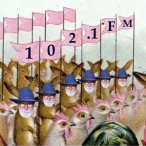 Down The Rabbit Hole Radio Plays