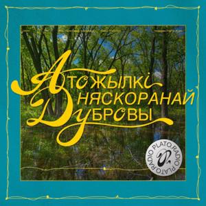 Атожылкі няскоранай дубровы
