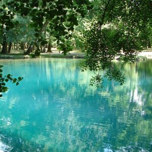 La chronique estivale