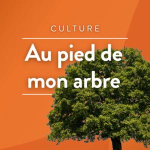 Au pied de mon arbre