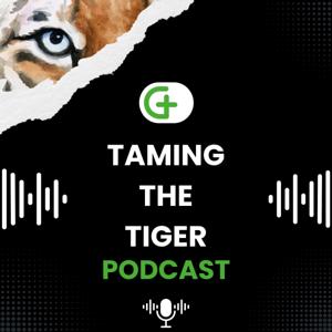 Taming the Tiger