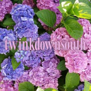 twinkdownsouth