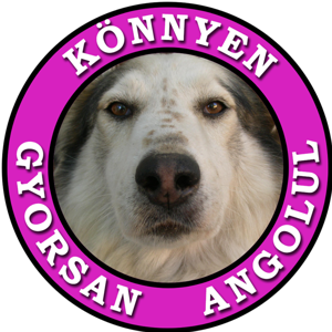 Könnyen Gyorsan Angolul