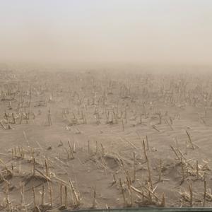 The Drylander Podcast