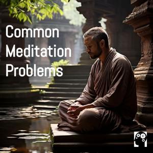 Meditation Hurdles