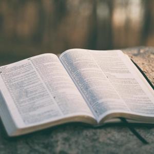 The Burns Bible Study