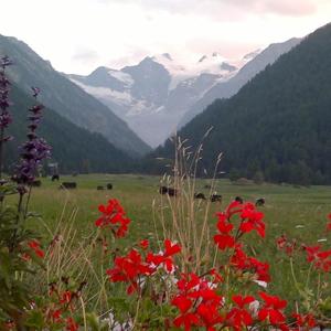 Radio Cogne
