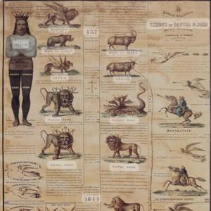 Probation's Hour is Fast Approaching. Are You ready?